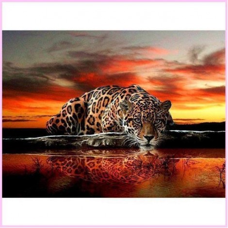 Leopard Resting in the African Sunset