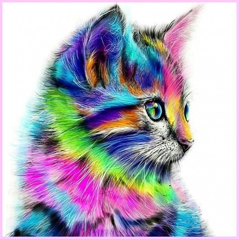 Retro Rainbow Kitten