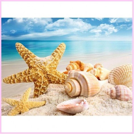 Starfish, Conch and Seashells