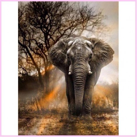 Marching Elderly African Elephant