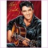 The Dashing Elvis Presley Diamond Painting