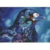 Diamond Raven (US Stock)