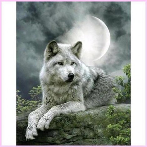 White Wolf in Moonlight