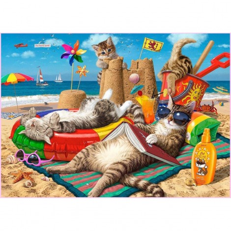 Cats on the Beach