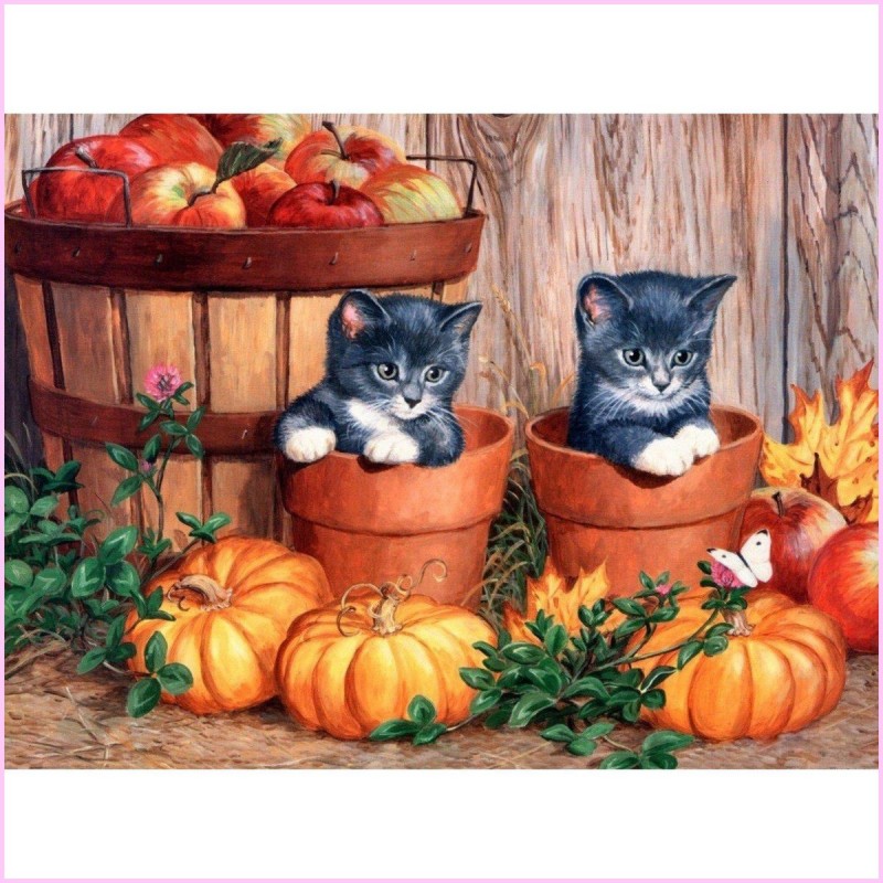 Potted Kittens