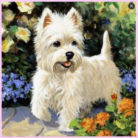 West Highland Terrier Diamond Painting