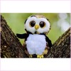 Owl Baby