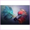 Two Fighting Fish