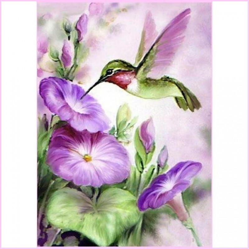 Purple Hummingbird D...
